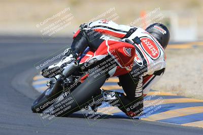 media/May-13-2023-SoCal Trackdays (Sat) [[8a473a8fd1]]/Turn 11 Backside (945am)/